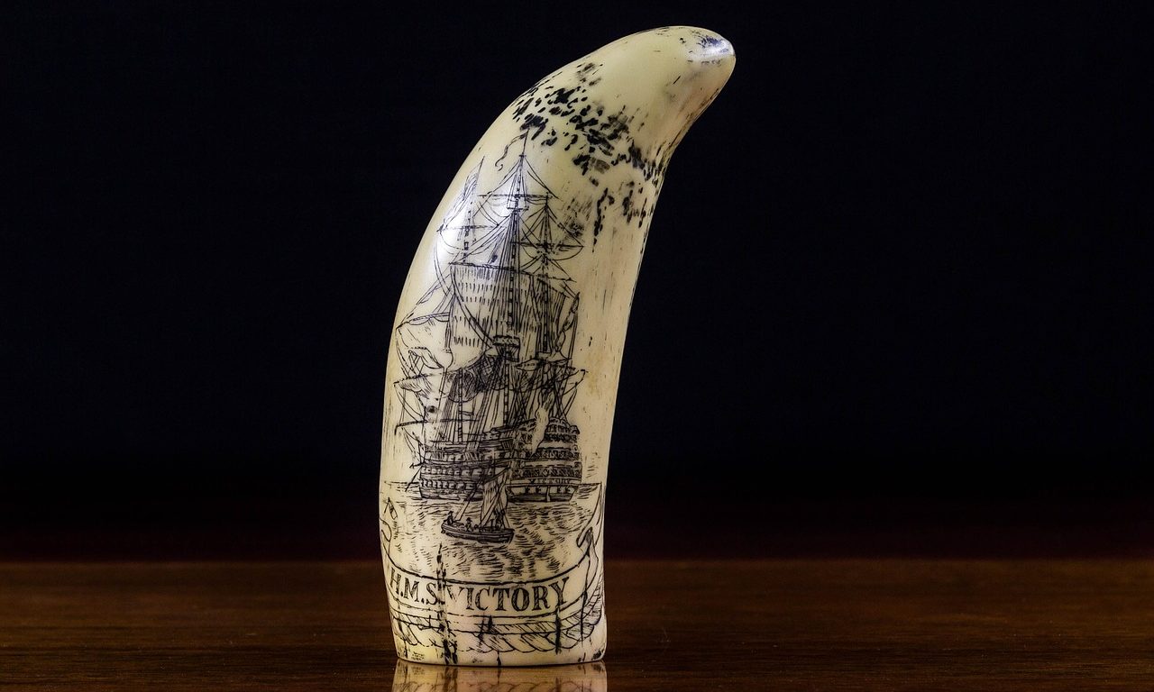 scrimshaw-382535_1280